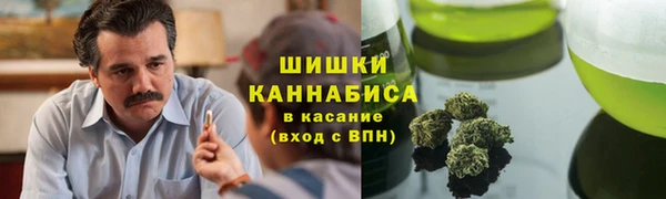 гашик Верея