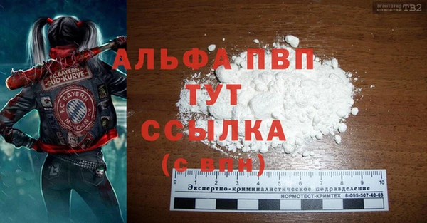 гашик Верея
