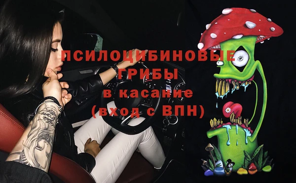 гашик Верея