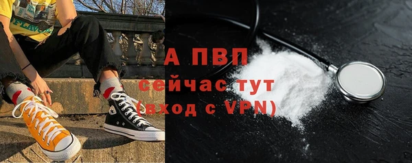 СК Богородицк
