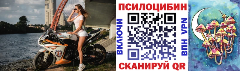 наркотики  Верхняя Тура  Галлюциногенные грибы мицелий 